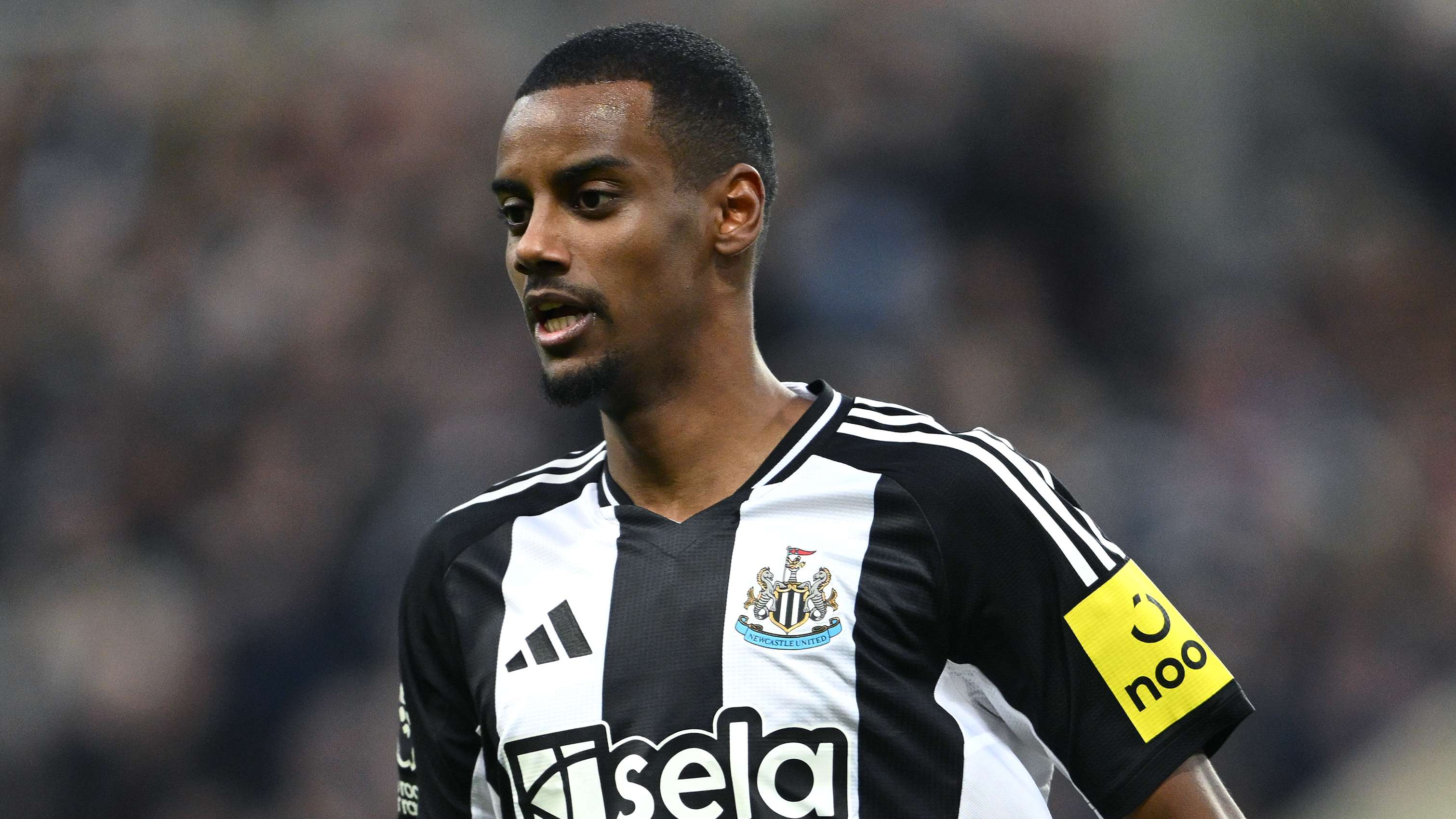 壇最為耀眼 壇最為耀眼