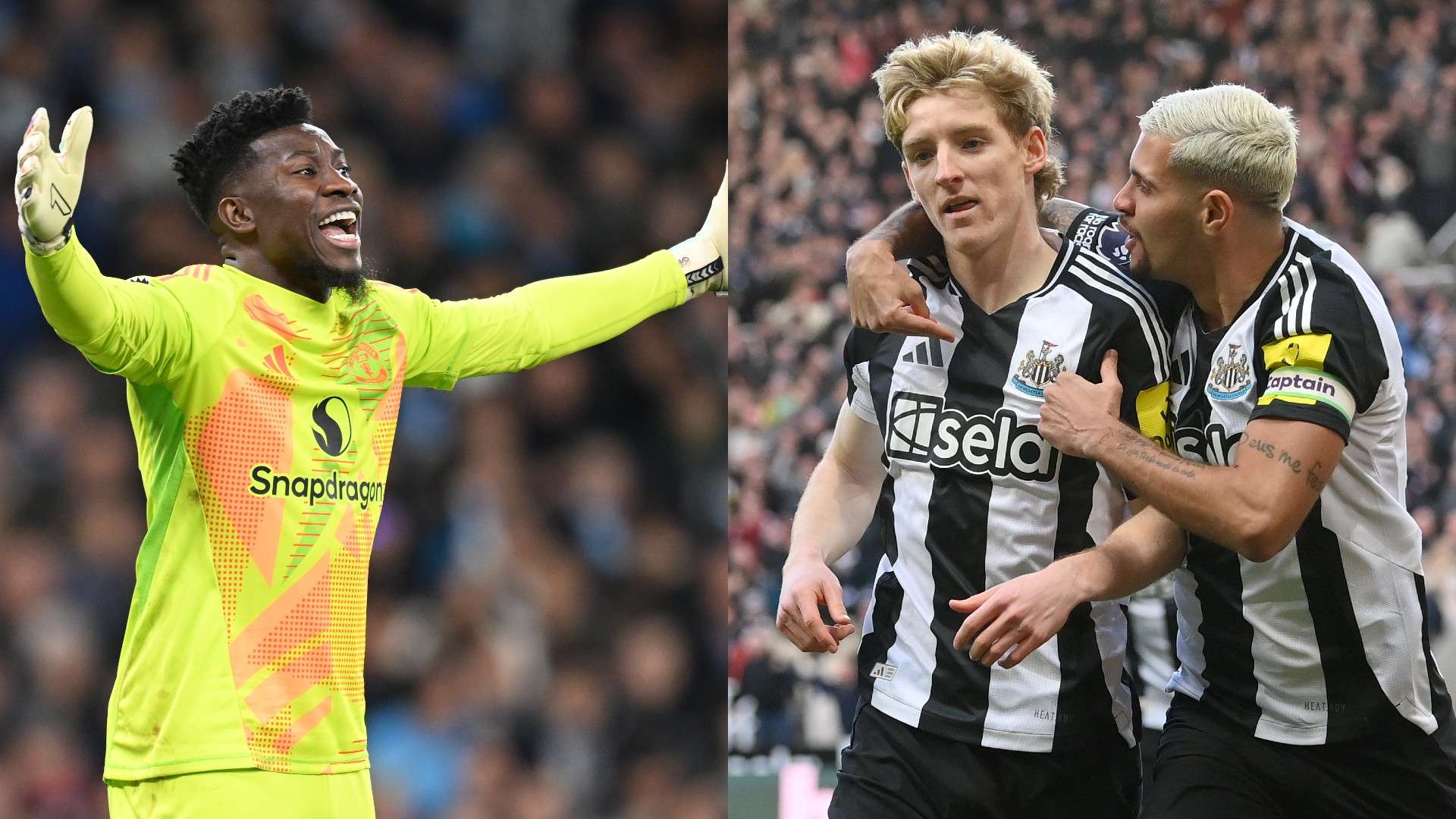 不仅是对现 不仅是对现